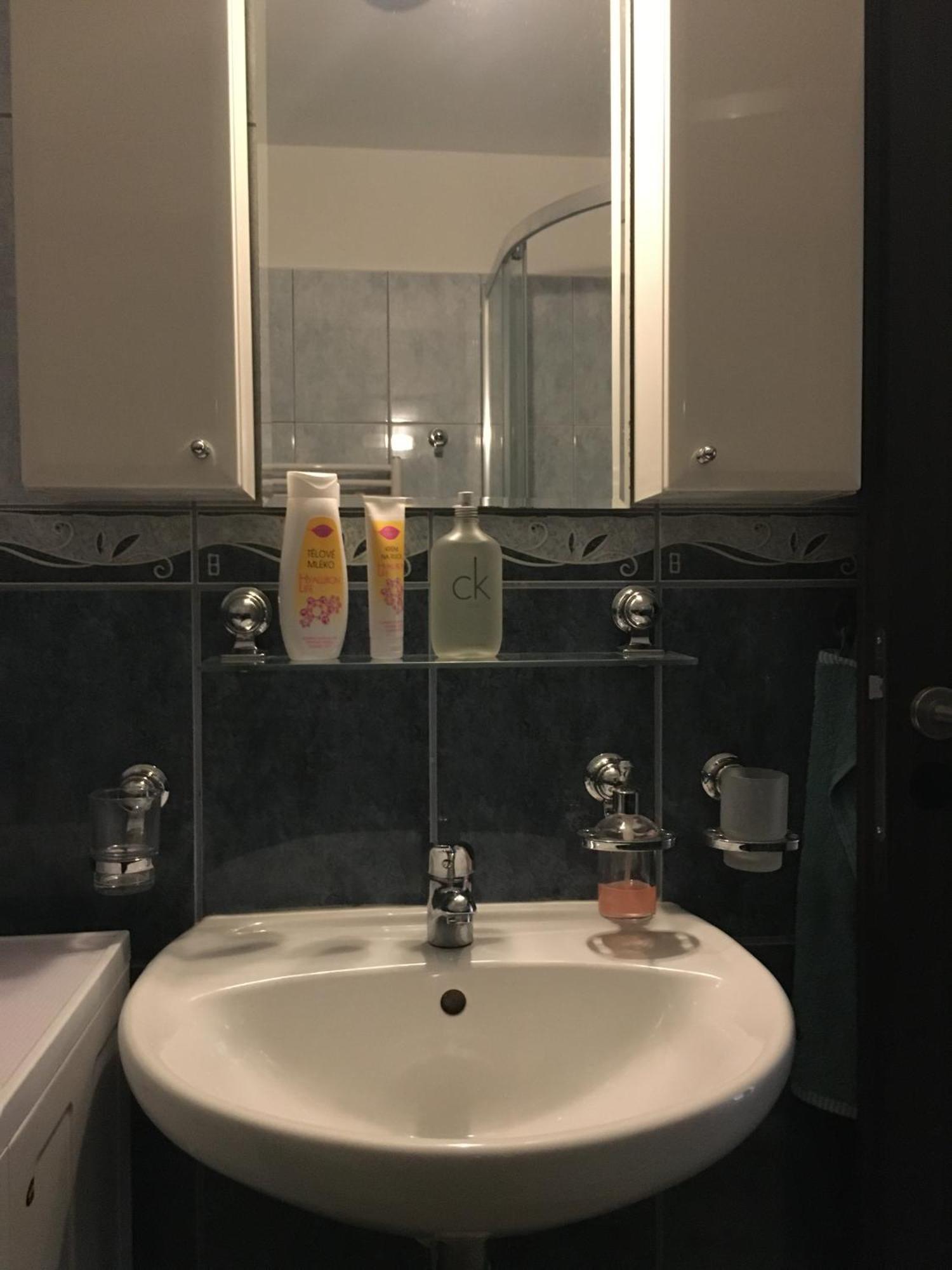 Sebastian Apartments Třeboň Dış mekan fotoğraf